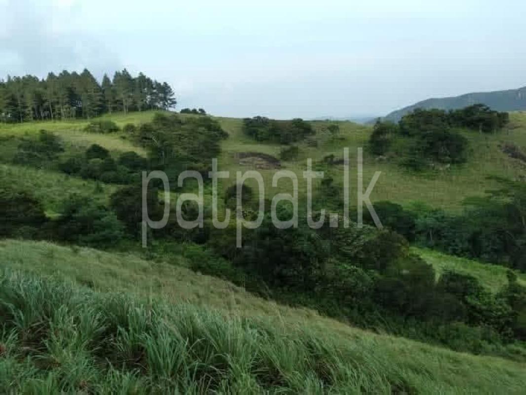 Commercial Land for Sale in Matale