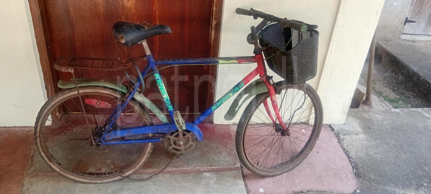 Advertisement image 5