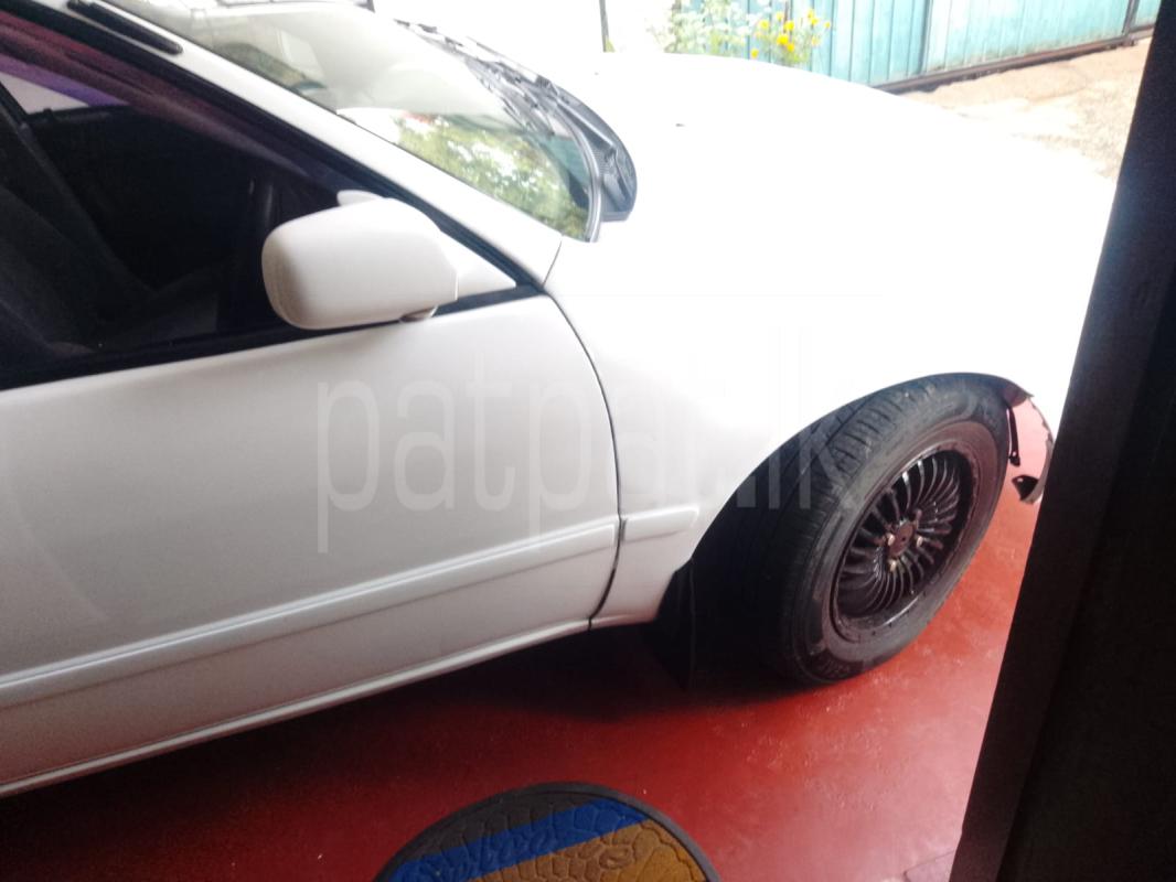 Toyota Corolla 1997 - Used Car sale in Sri Lanka - patpat.lk