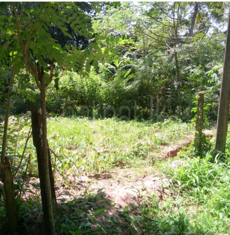Residential Land for Sale in Banduragoda ads-image-1