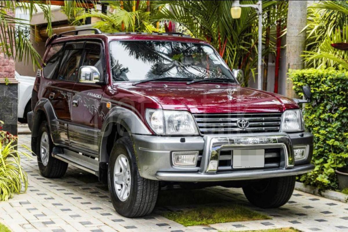 Advertisement image 1