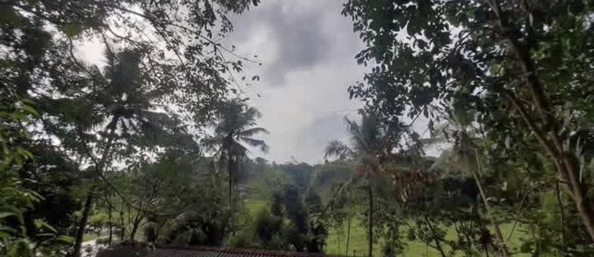 Agricultural Land for Sale in Karapitiya