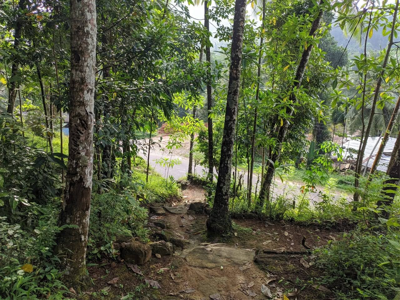 Commercial Land for Sale in Avissawella