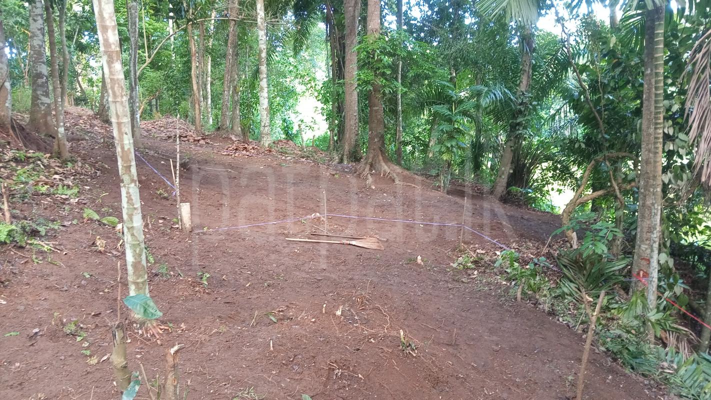 Residential Land for Sale in Adampan