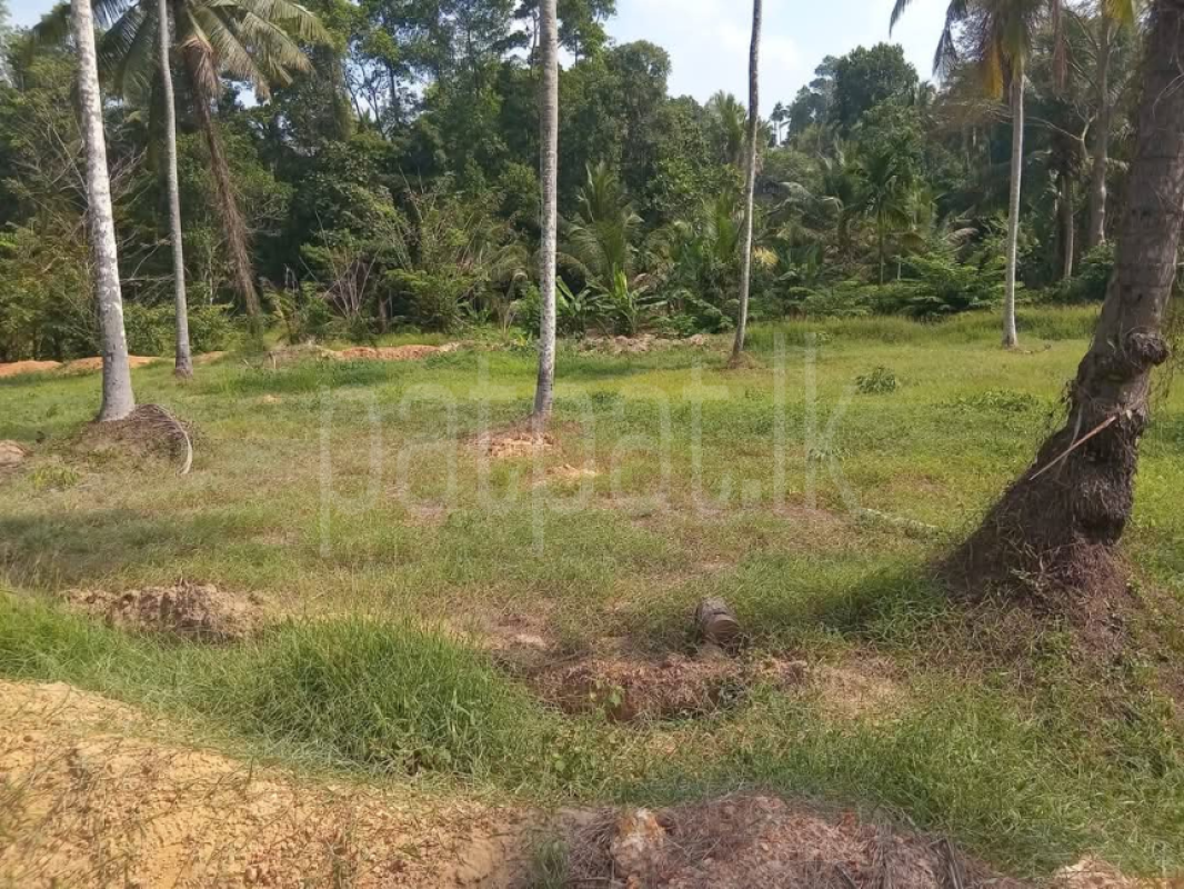 Commercial Land for Sale in Divulapitiya