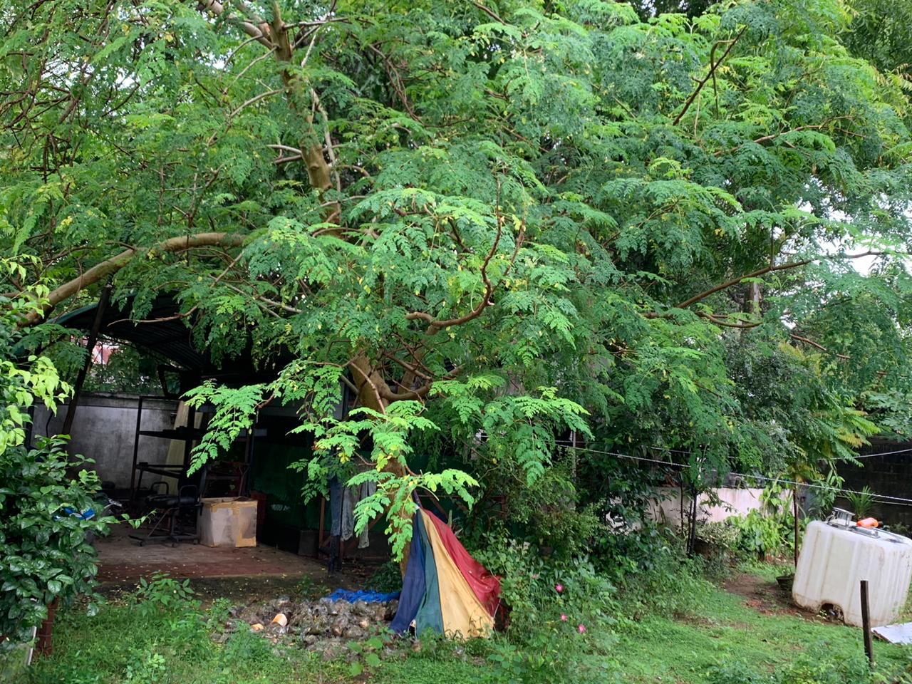 Residential Land for Sale in Ja-Ela