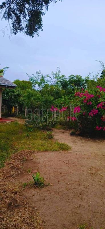 Residential Land for Sale in Kataragama