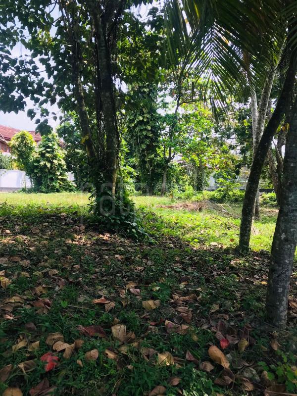 Commercial Land for Sale in Karapitiya