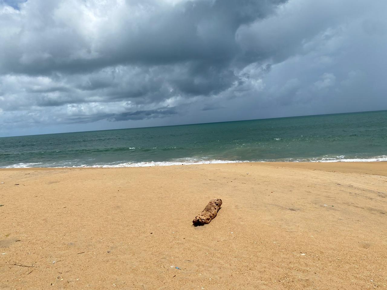 Residential Land for Sale in Marawila