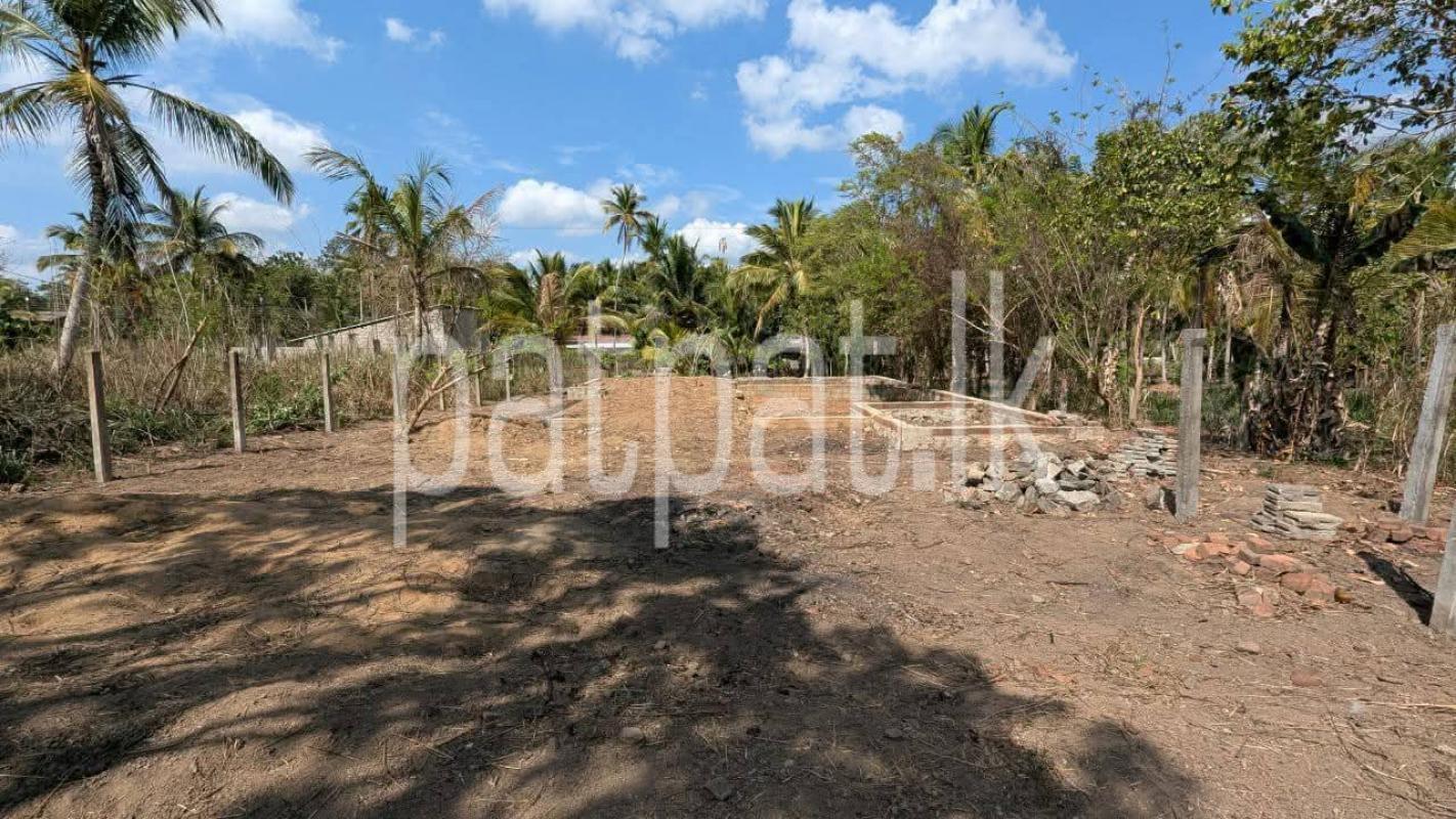 Residential Land for Sale in Giriulla