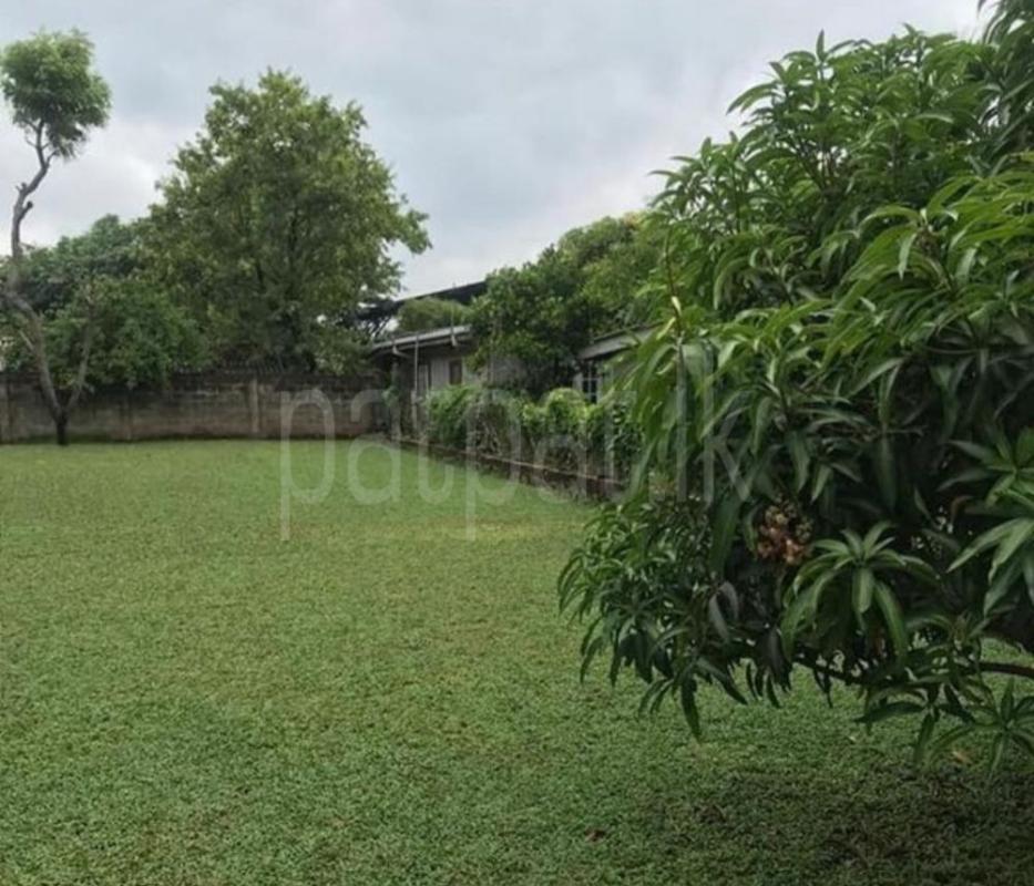 Commercial Land for Sale in Kotte