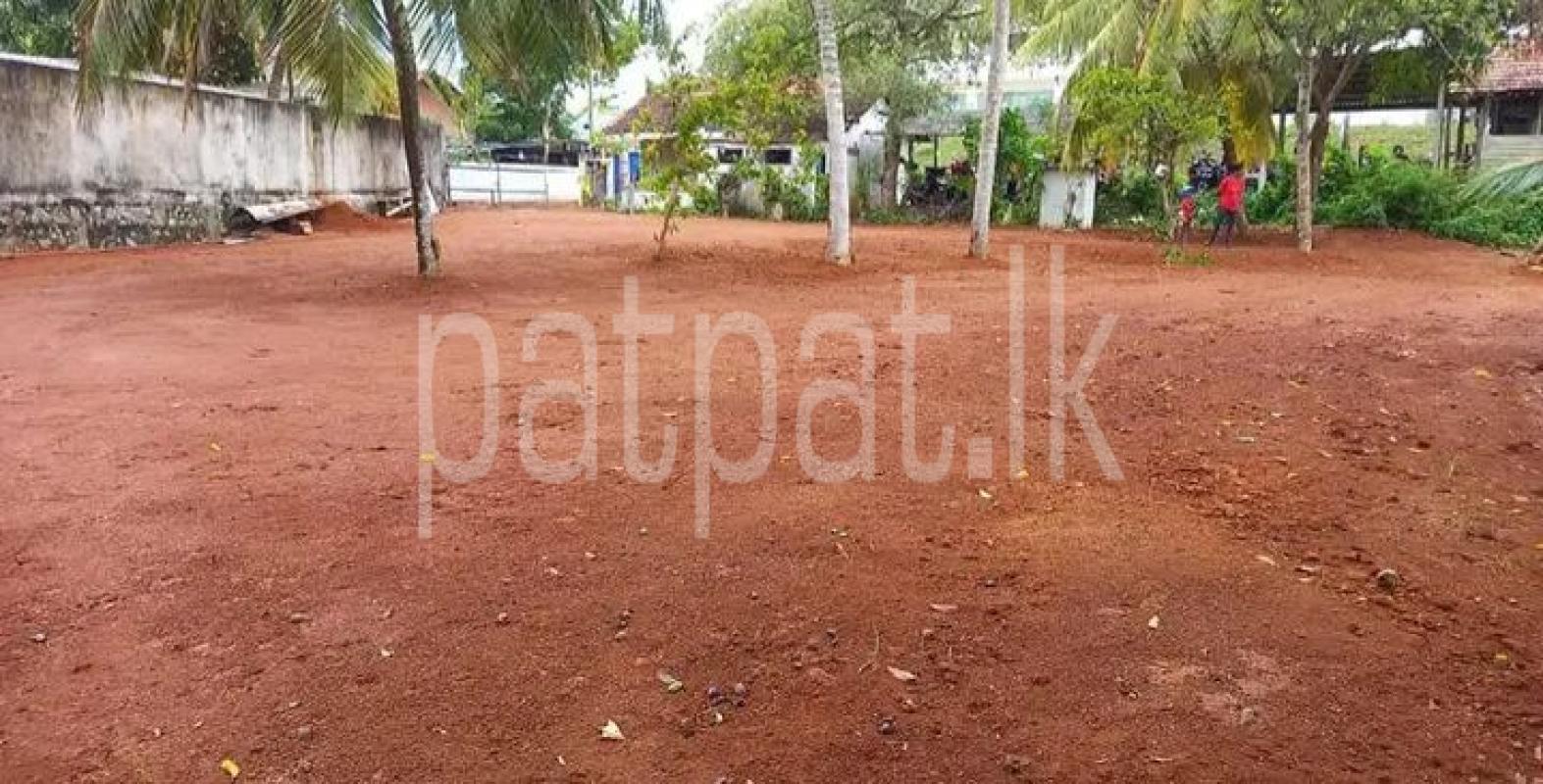 Advertisement image 1