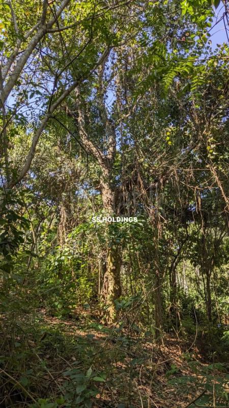 Commercial Land for Sale in Welimada