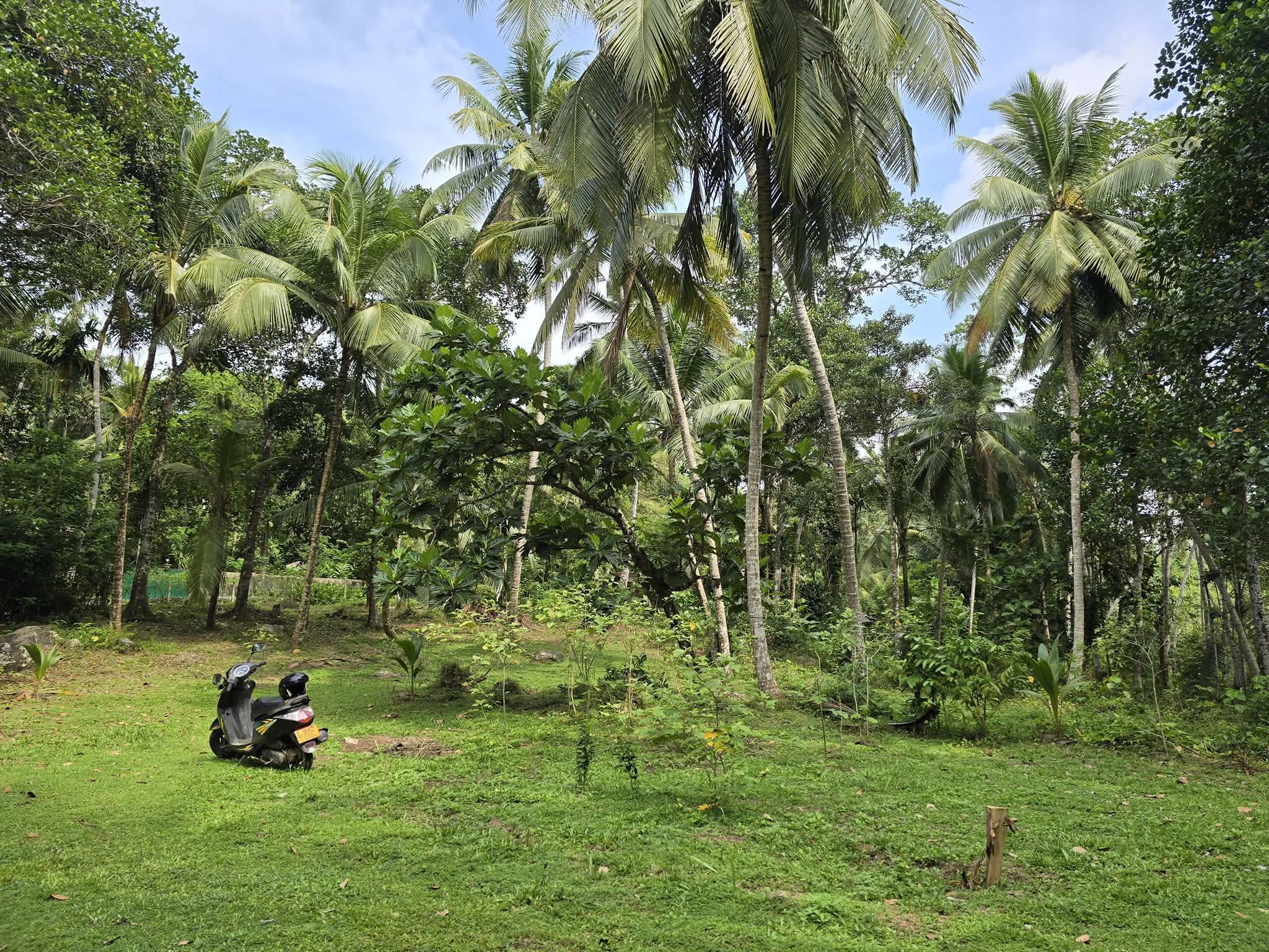 Commercial Land for Sale in Unawatuna