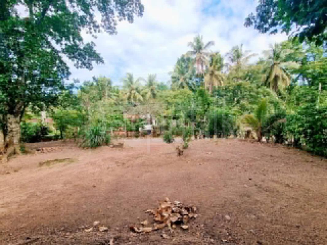 Residential Land for Sale in Yakkala