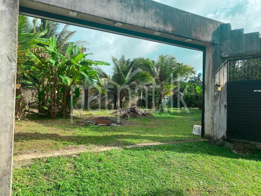 Commercial Land for Sale in Hikkaduwa
