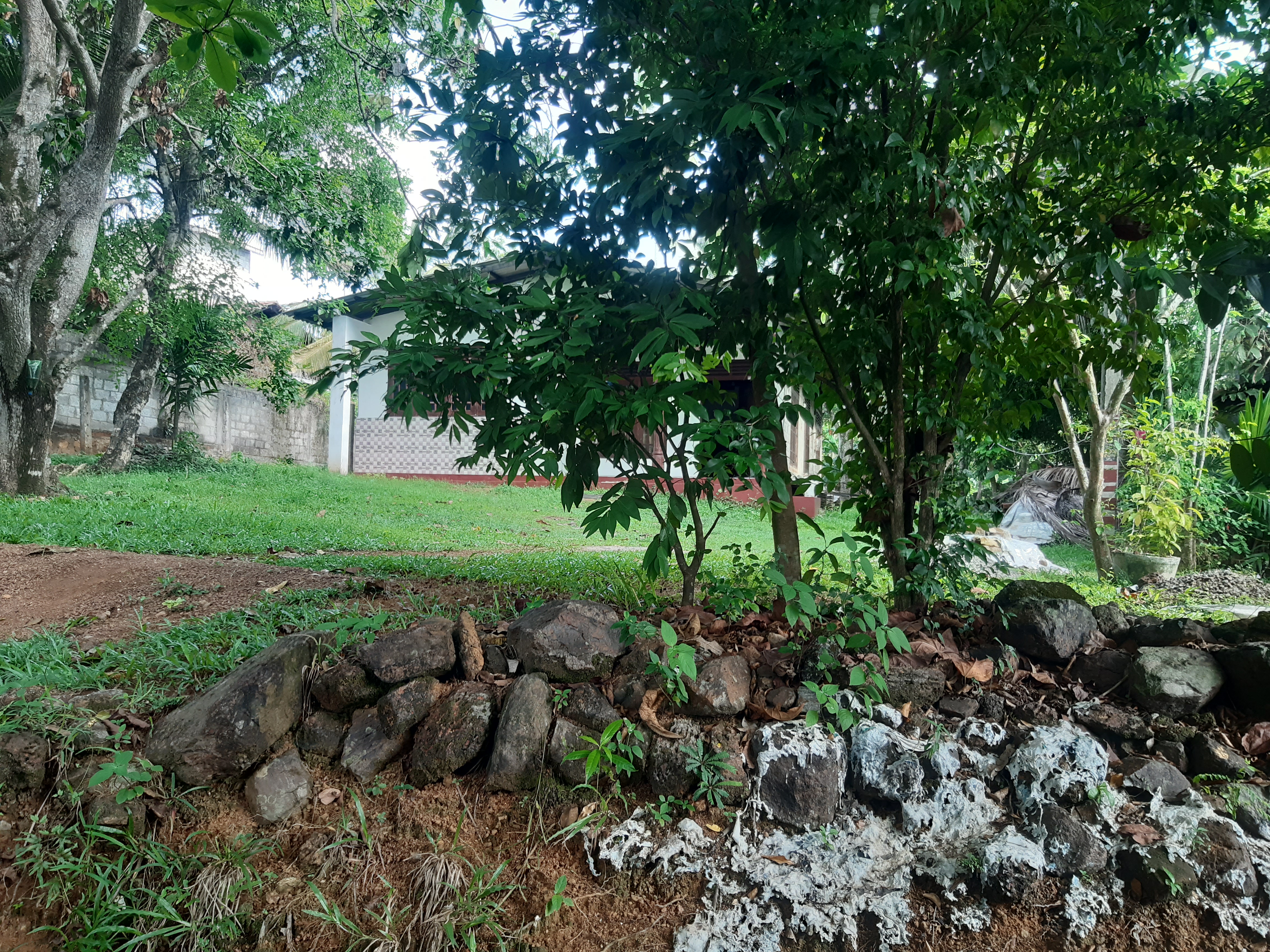 House for Sale in Kadawatha ads-image-1