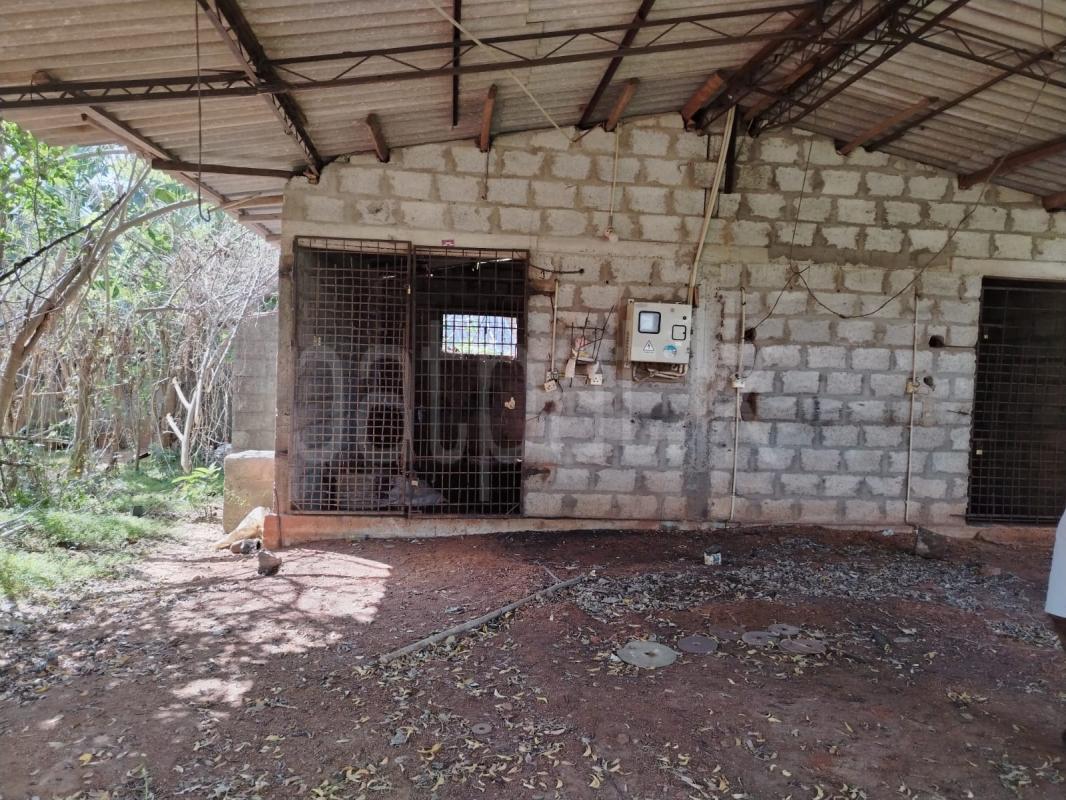 Residential Land for Sale in Anuradhapura