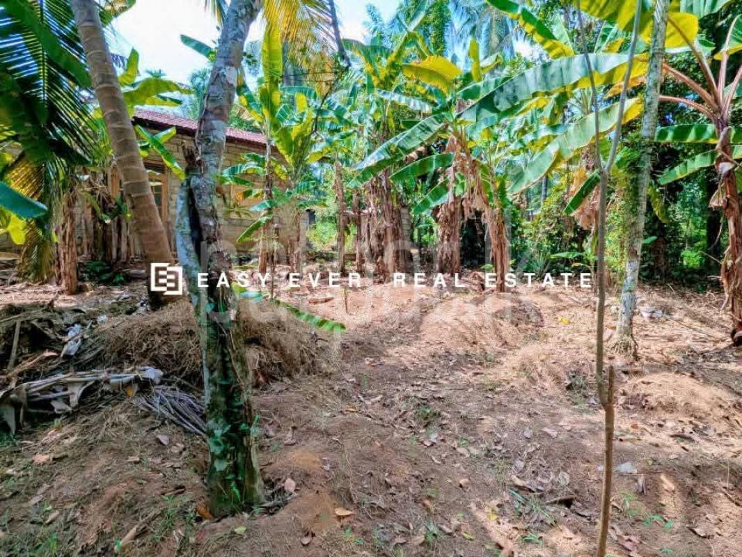 Residential Land for Sale in Kaleliya
