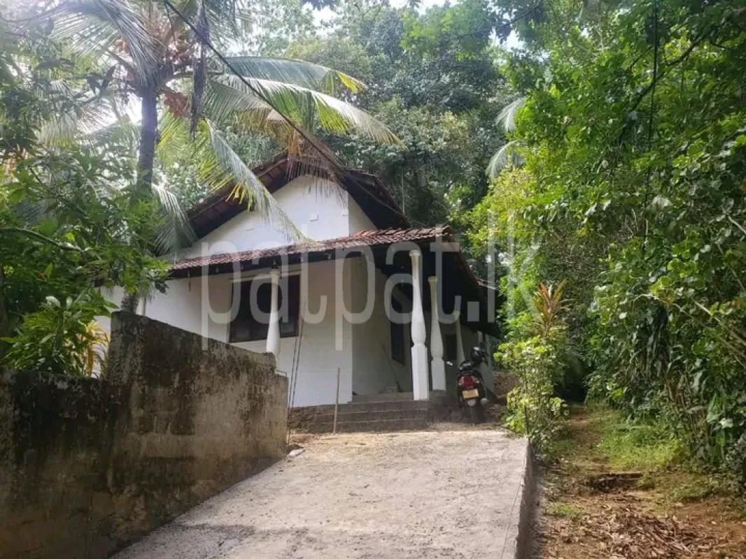 Advertisement image 1