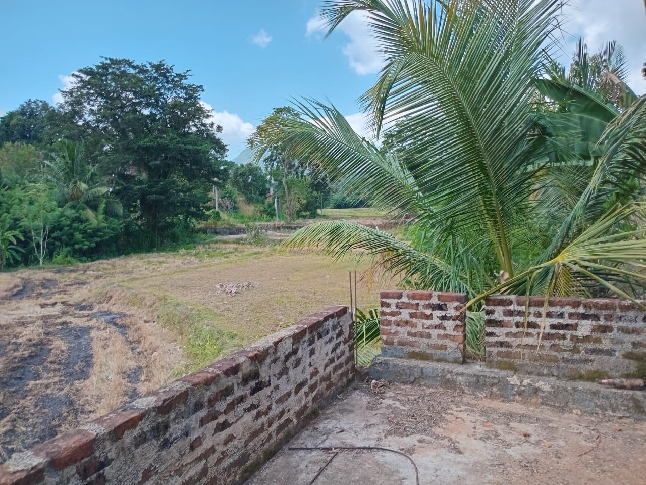 House for Sale in Pilessa