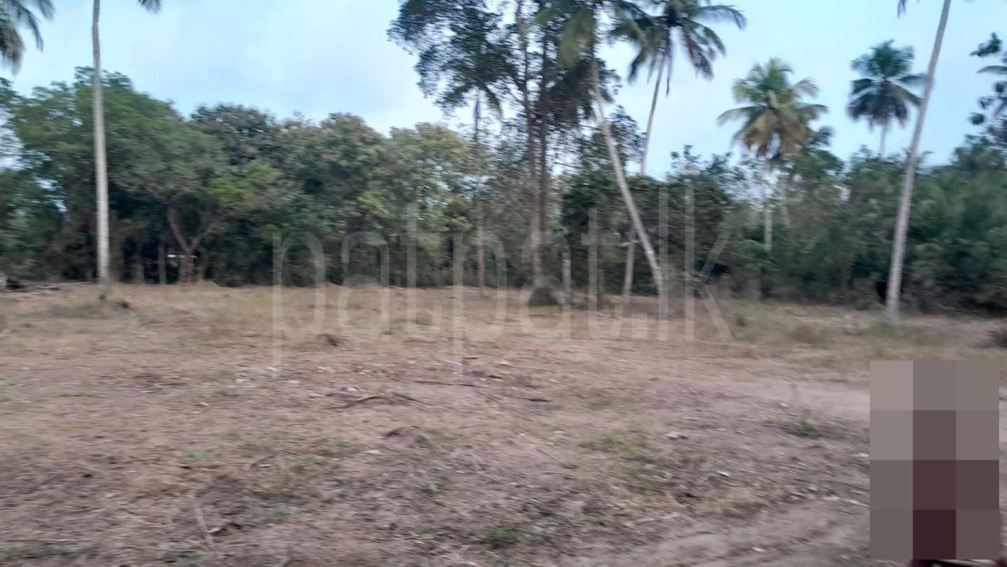 Residential Land for Sale in Tangalla