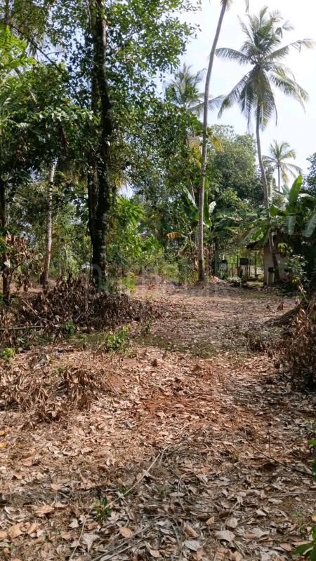 Residential Land for Sale in Ragama