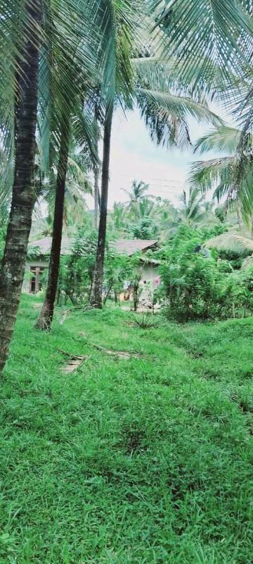 Agricultural Land for Sale in Kurunegala
