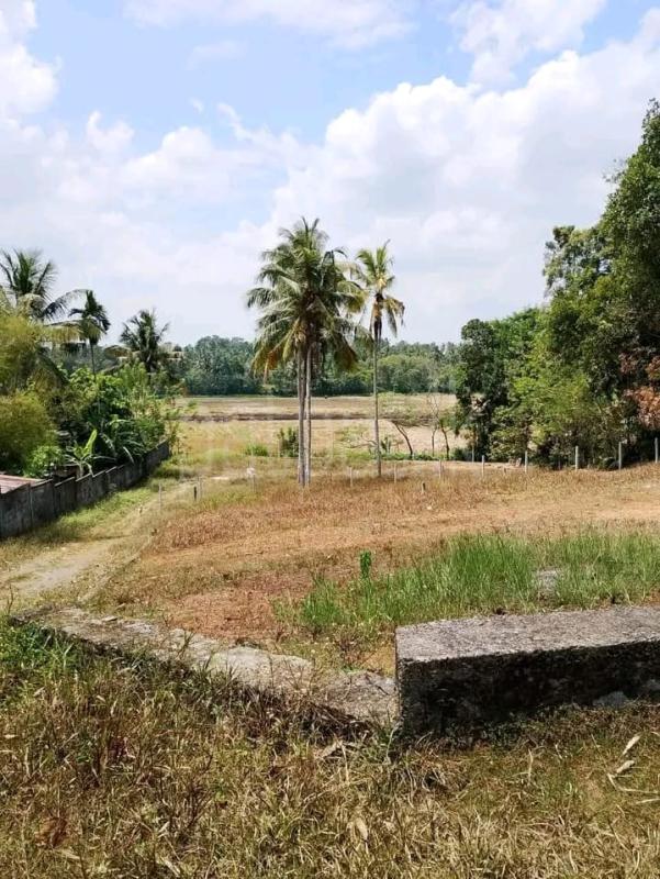 Commercial Land for Sale in Weliveriya