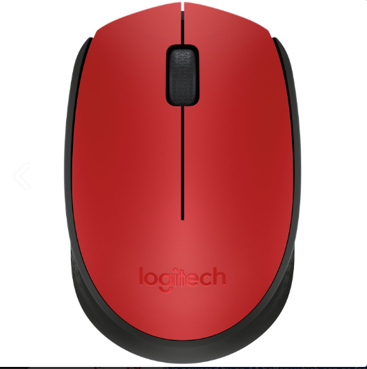 Wireless Mouse M171