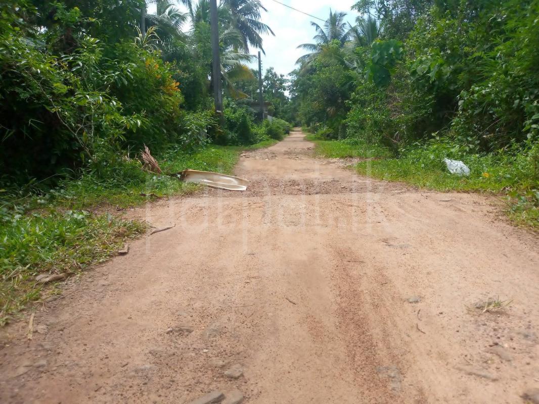 Commercial Land for Sale in Horana