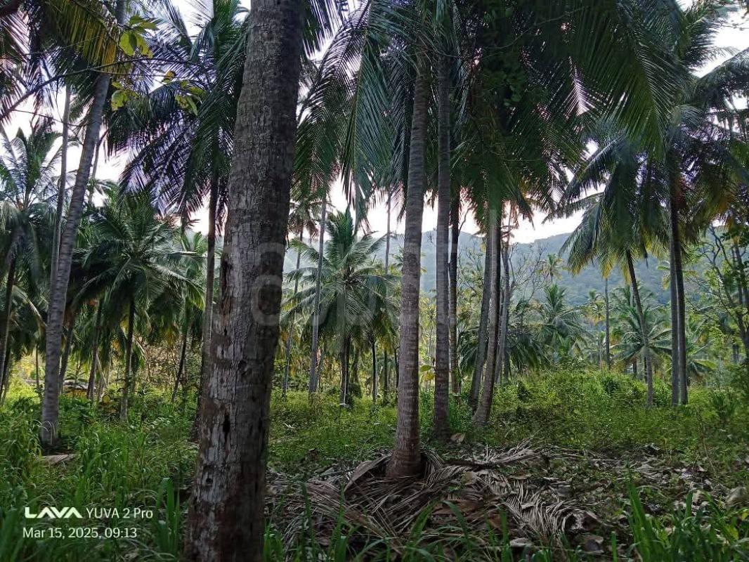 Agricultural Land for Sale in Wariyapola