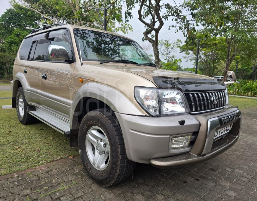 Advertisement image 6