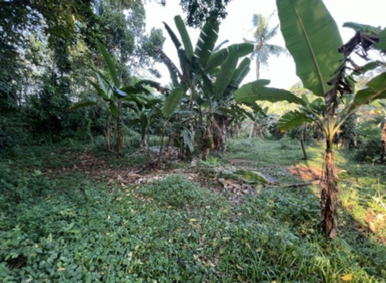 Residential Land for Sale in Kumbuka ads-image-1