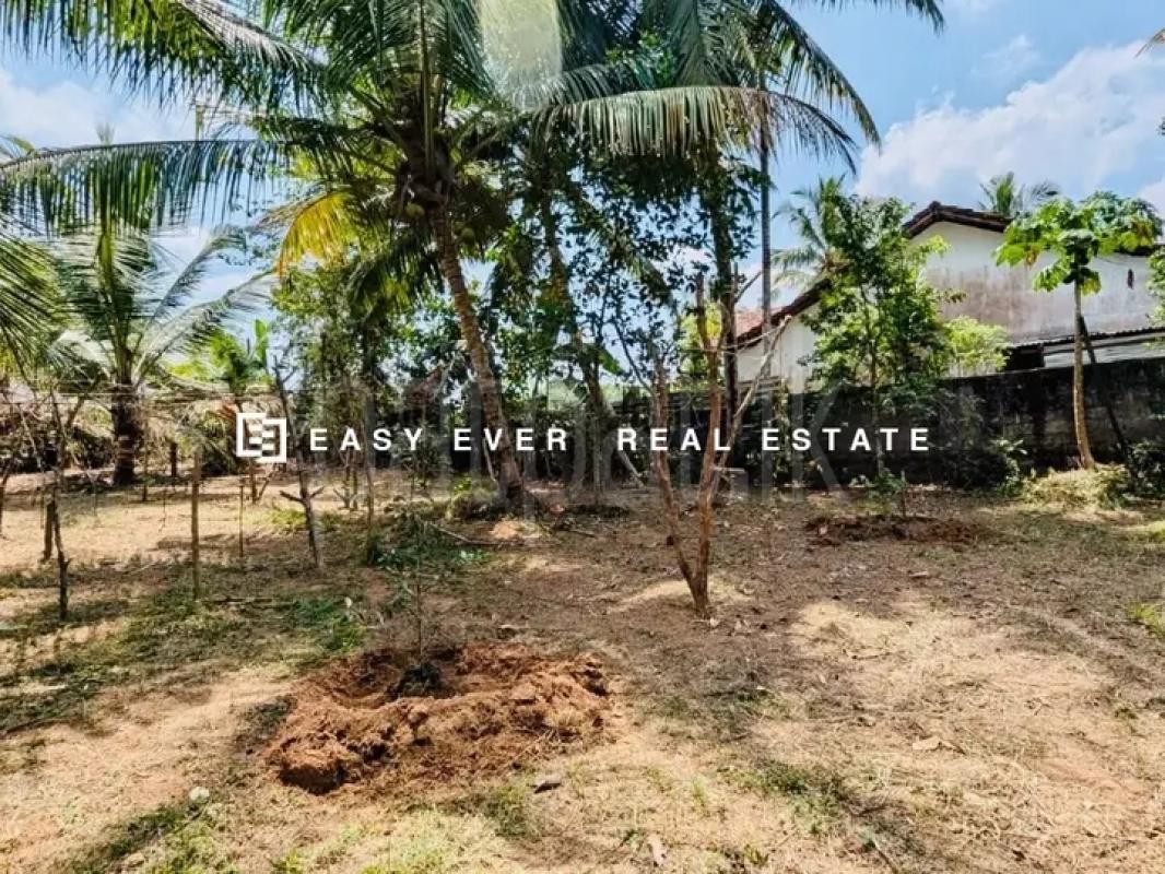 Commercial Land for Sale in Minuwangoda ads-image-1