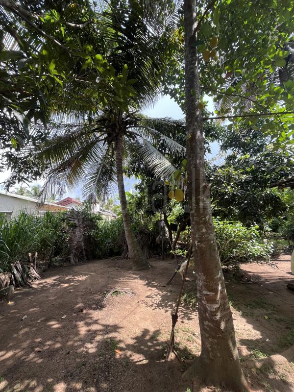 House for Sale in Ibbagamuwa