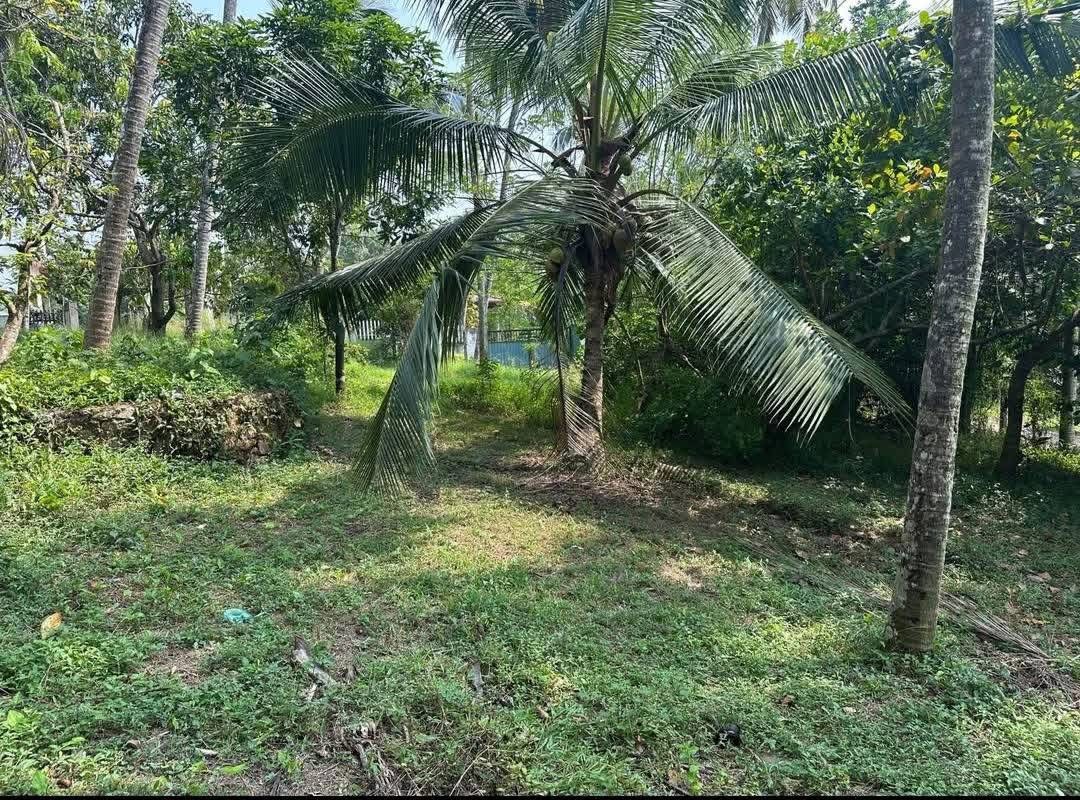 Commercial Land for Sale in Kiribathgoda