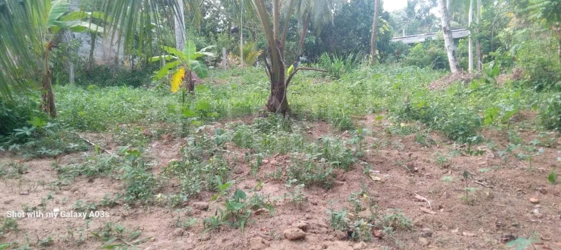 Residential Land for Sale in Slave Island (Colombo 02)