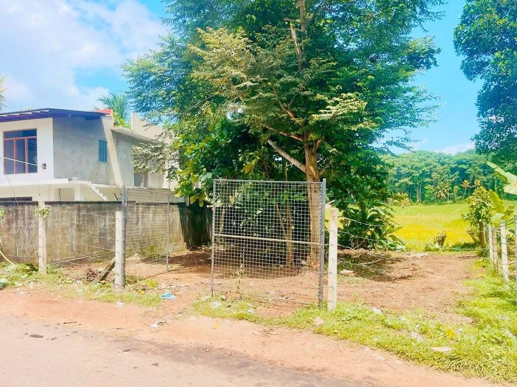 Agricultural Land for Sale in Panadura