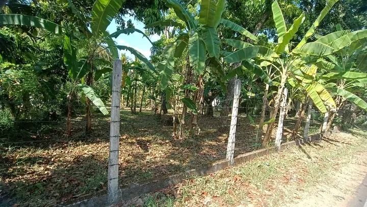 Commercial Land for Sale in Mawathagama