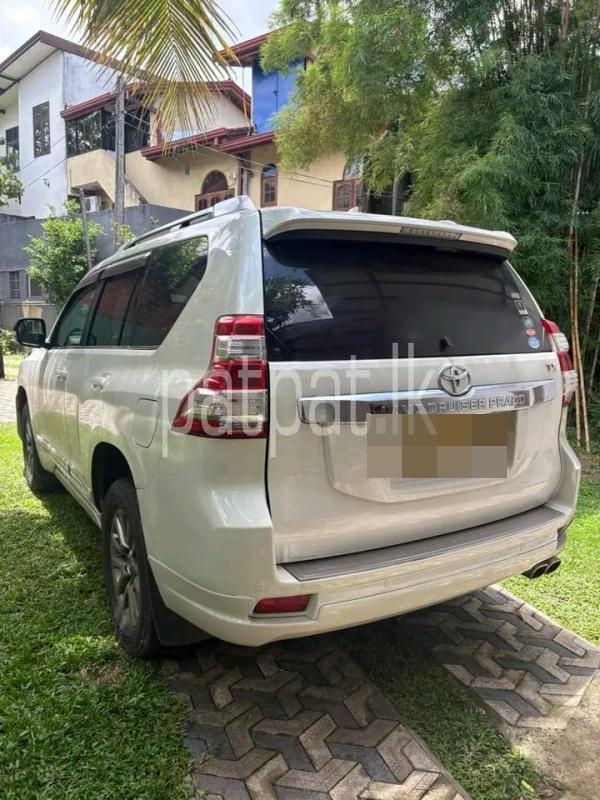 Advertisement image 2