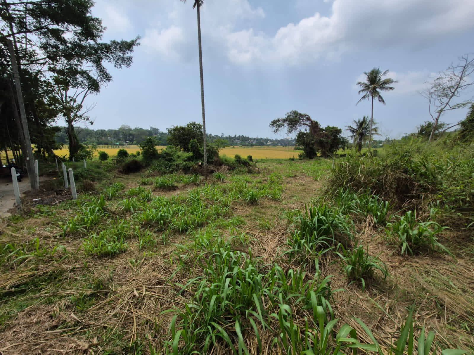 Commercial Land for Sale in Malabe