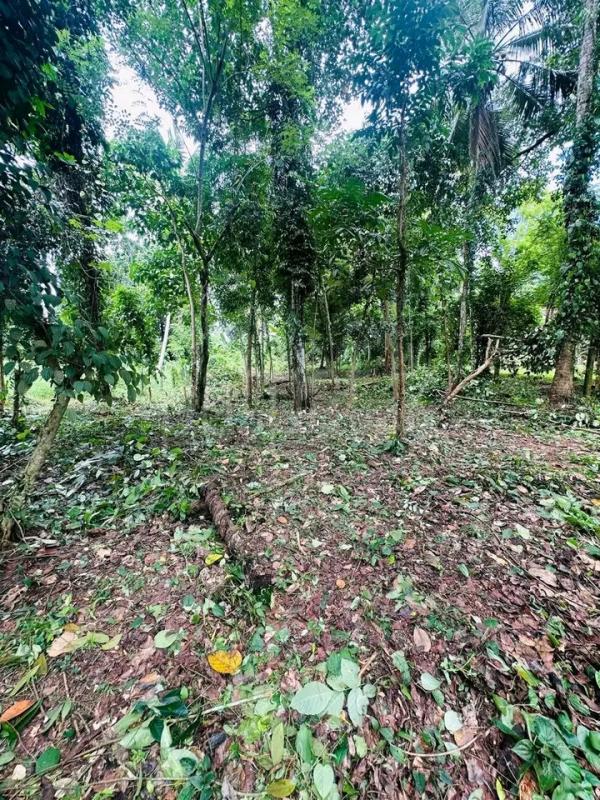 Commercial Land for Sale in Minuwangoda