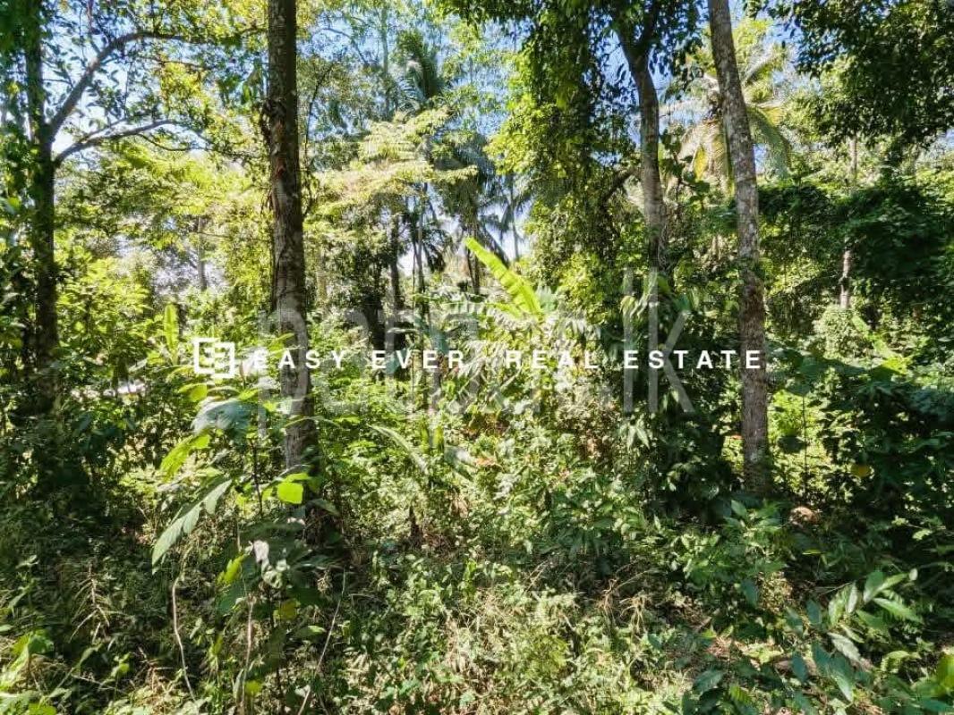 Residential Land for Sale in Thihariya