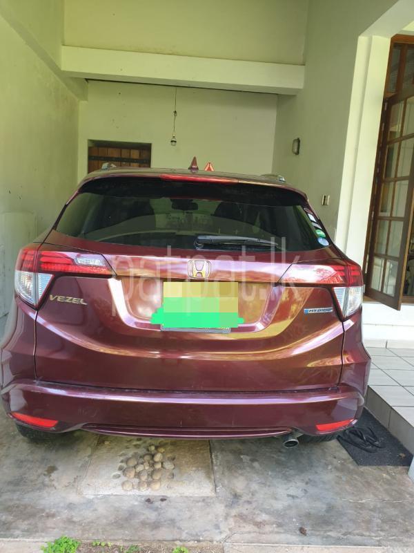 Advertisement image 4