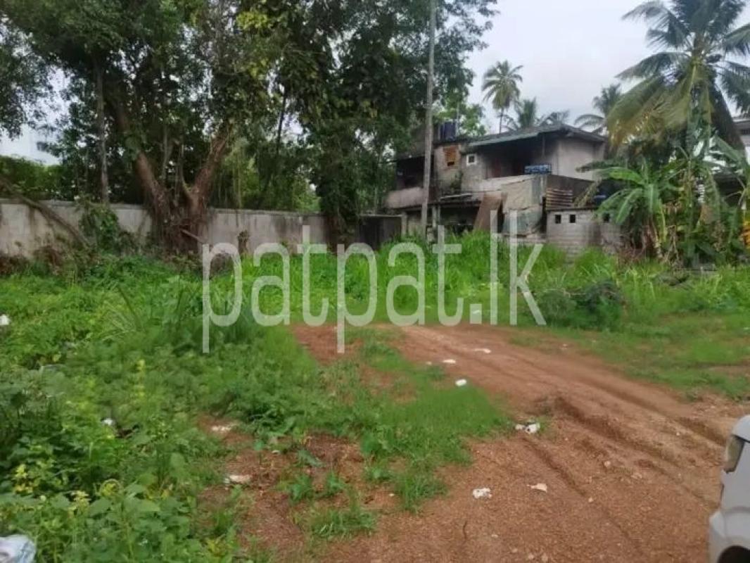 Advertisement image 1