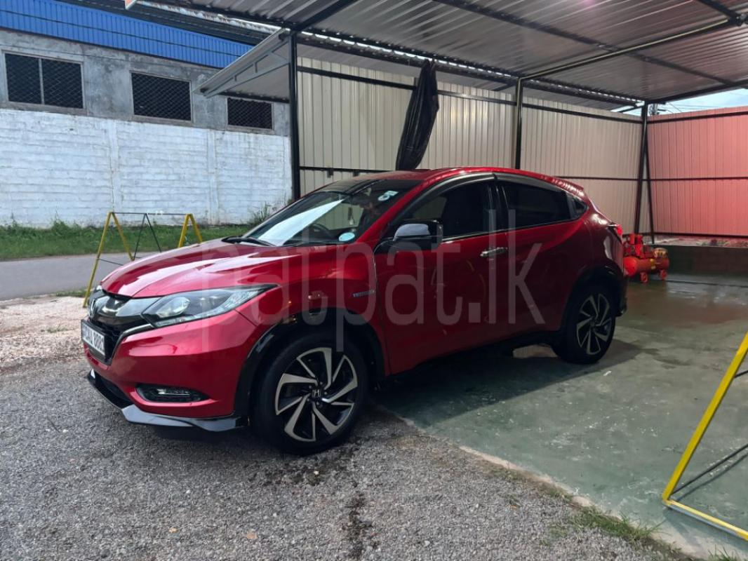 Advertisement image 3