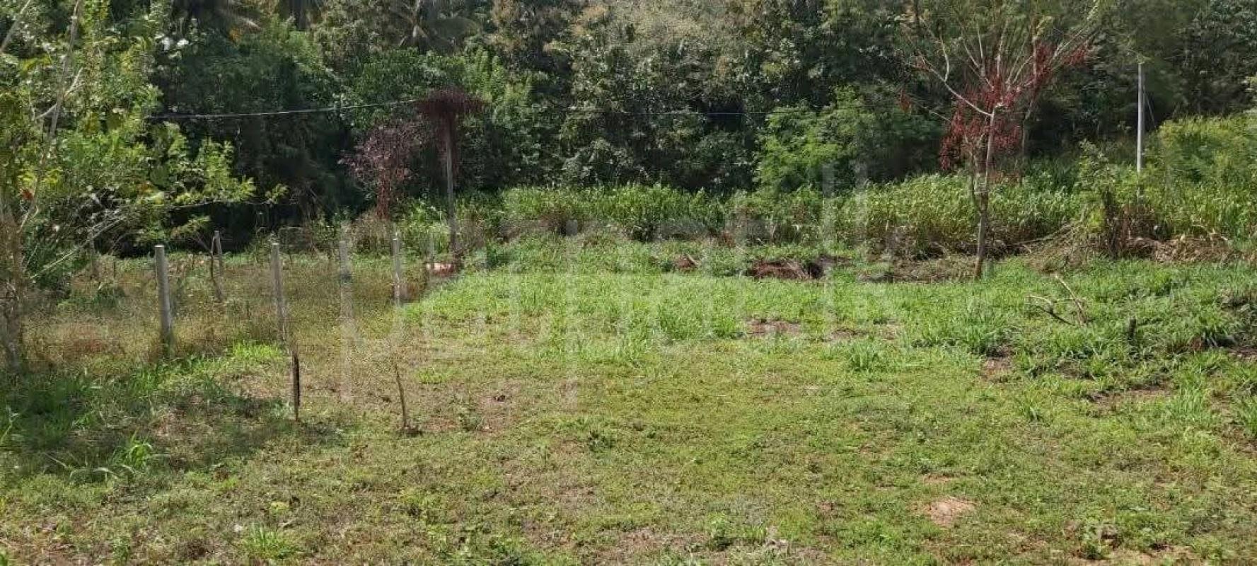 Agricultural Land for Sale in Wariyapola ads-image-1