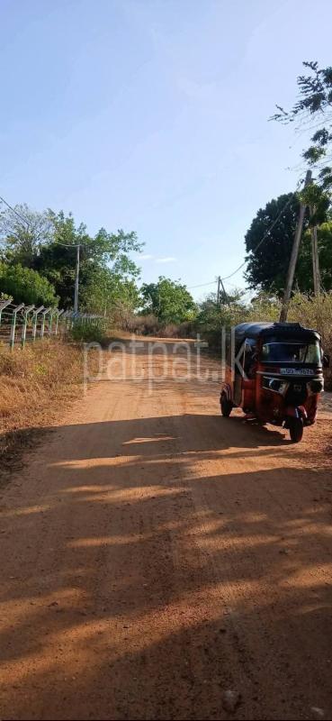 Residential Land for Sale in Kataragama