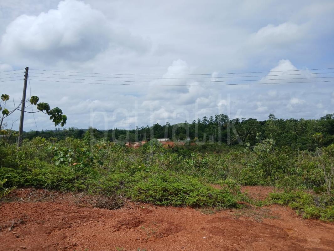 Residential Land for Sale in Kalutara
